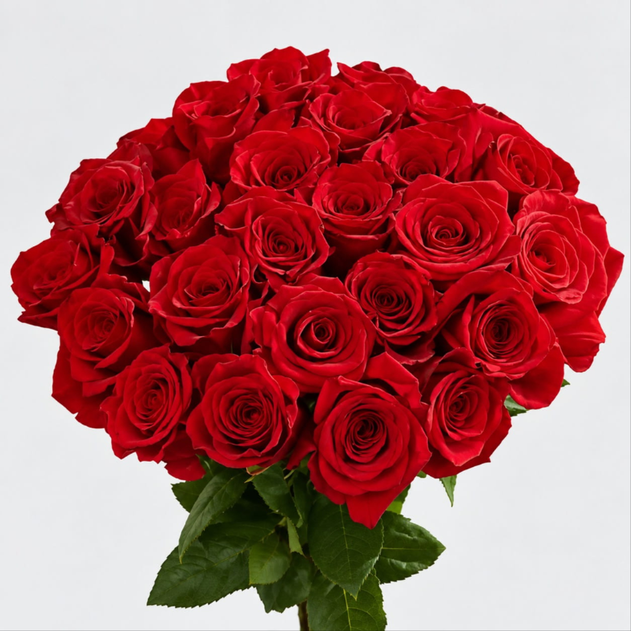 Bouquet of red roses