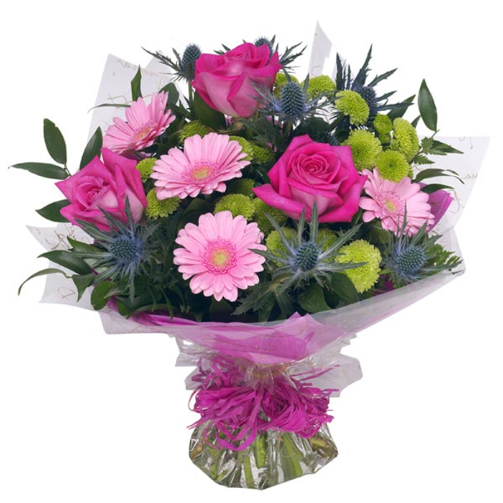 Classic Pinks Product Image