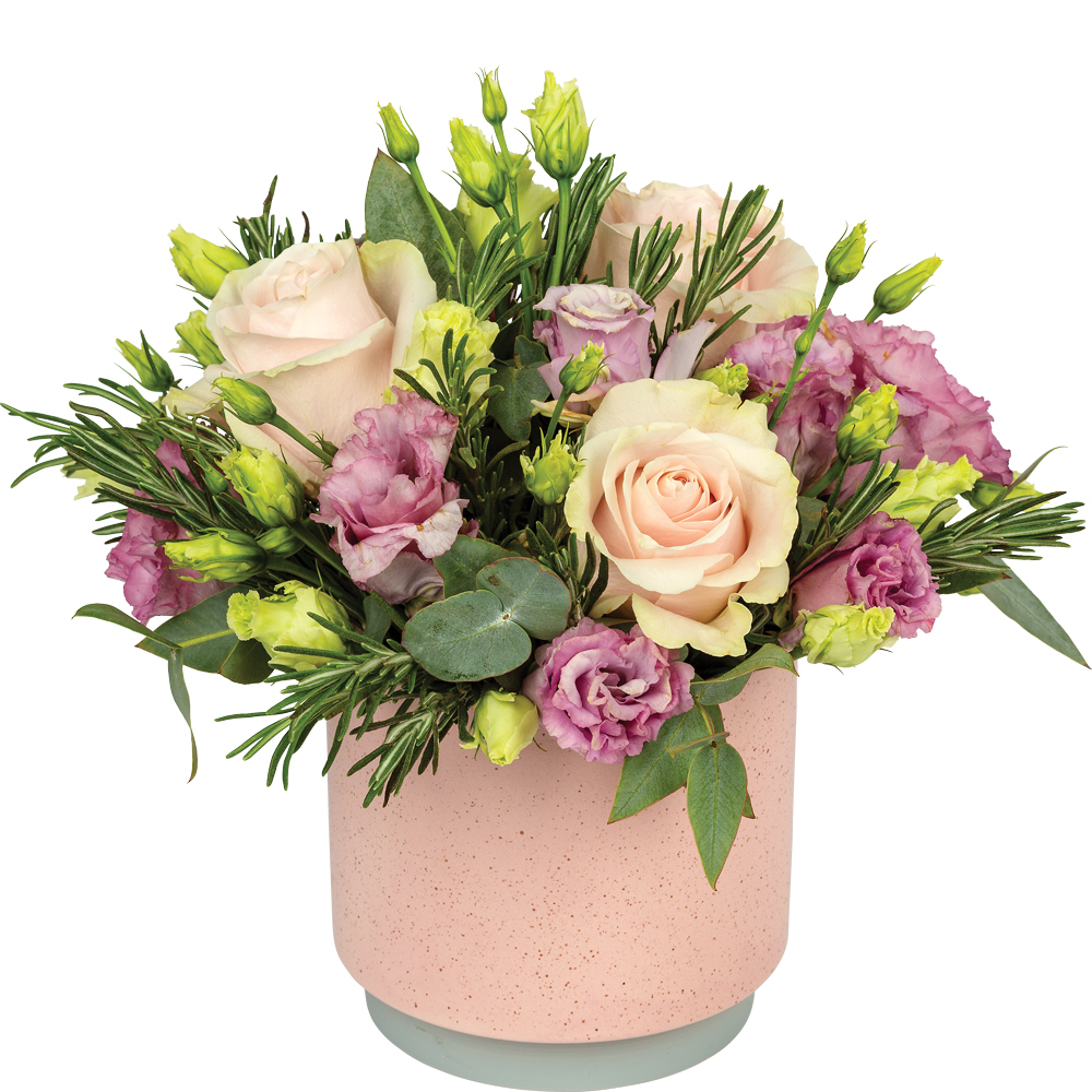 Ballet Posy Product Image