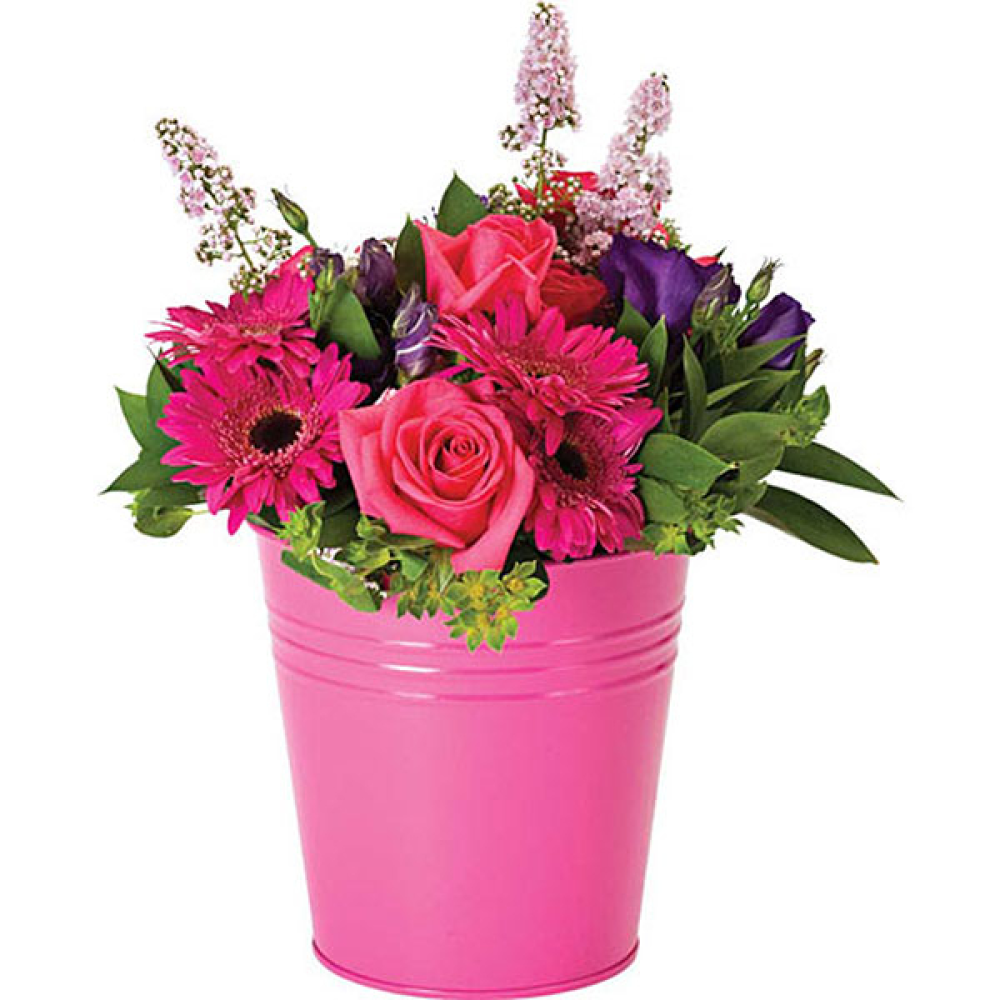 Candy Pink Chelsea Product Image