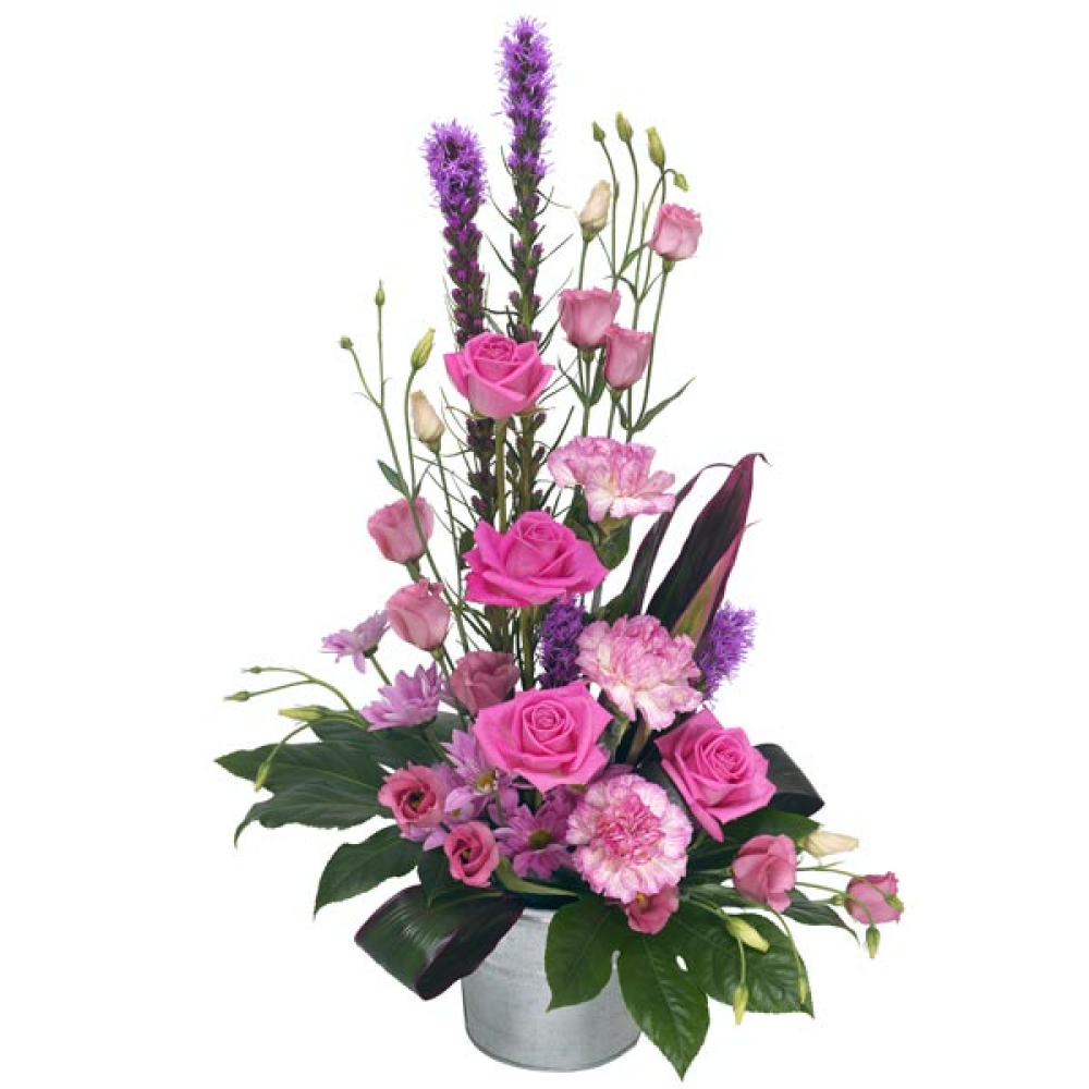 Pretty in pink Product Image