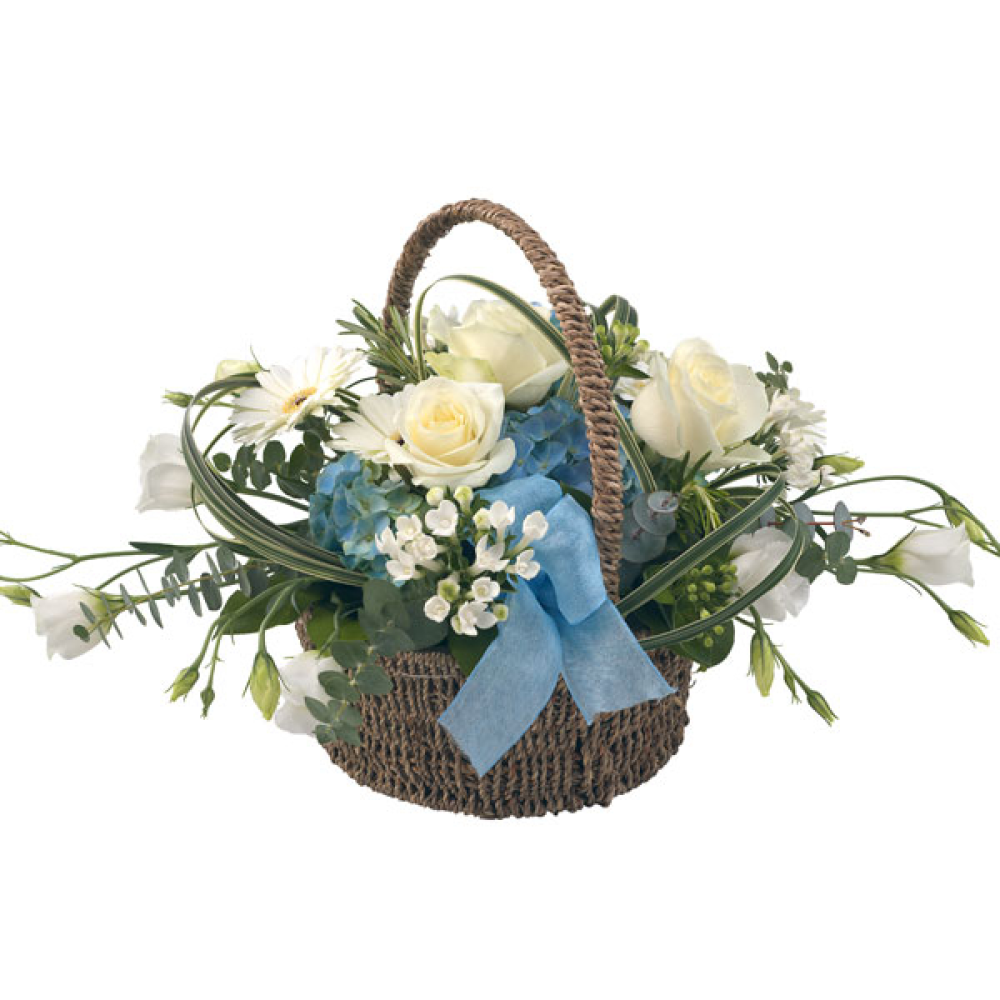 Baby Blue Product Image
