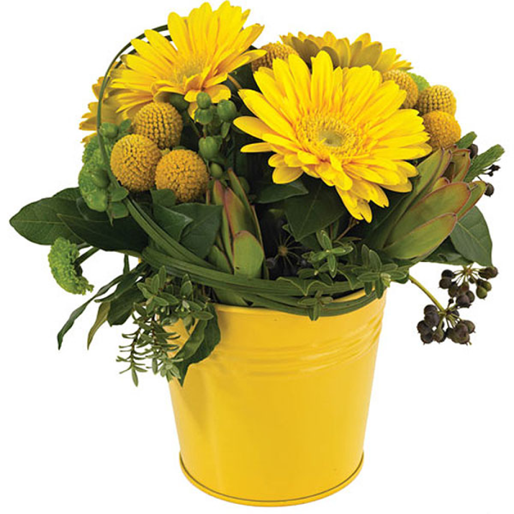 Sunshine Yellow Product Image