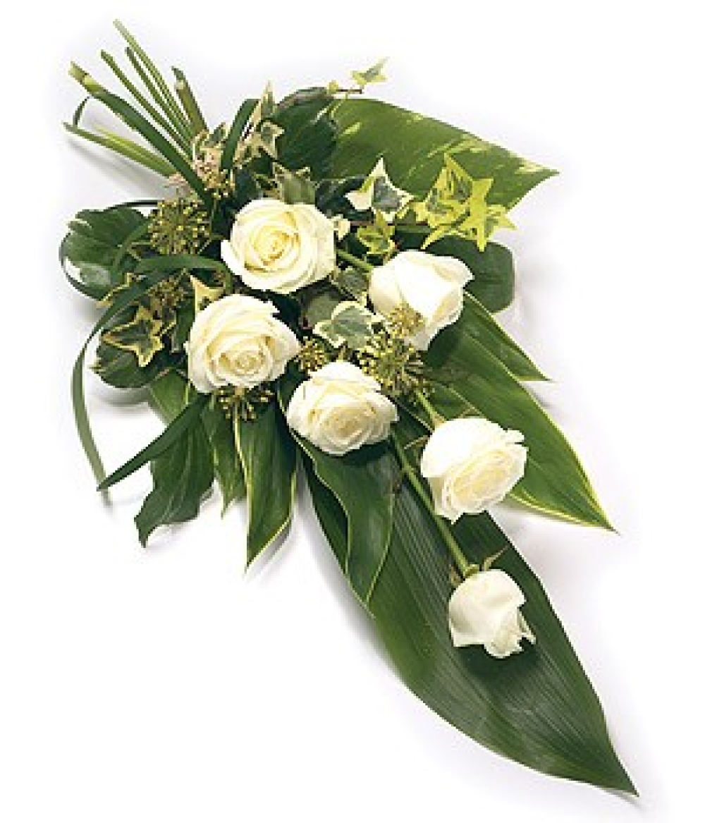 6 Rose Sheaf Product Image