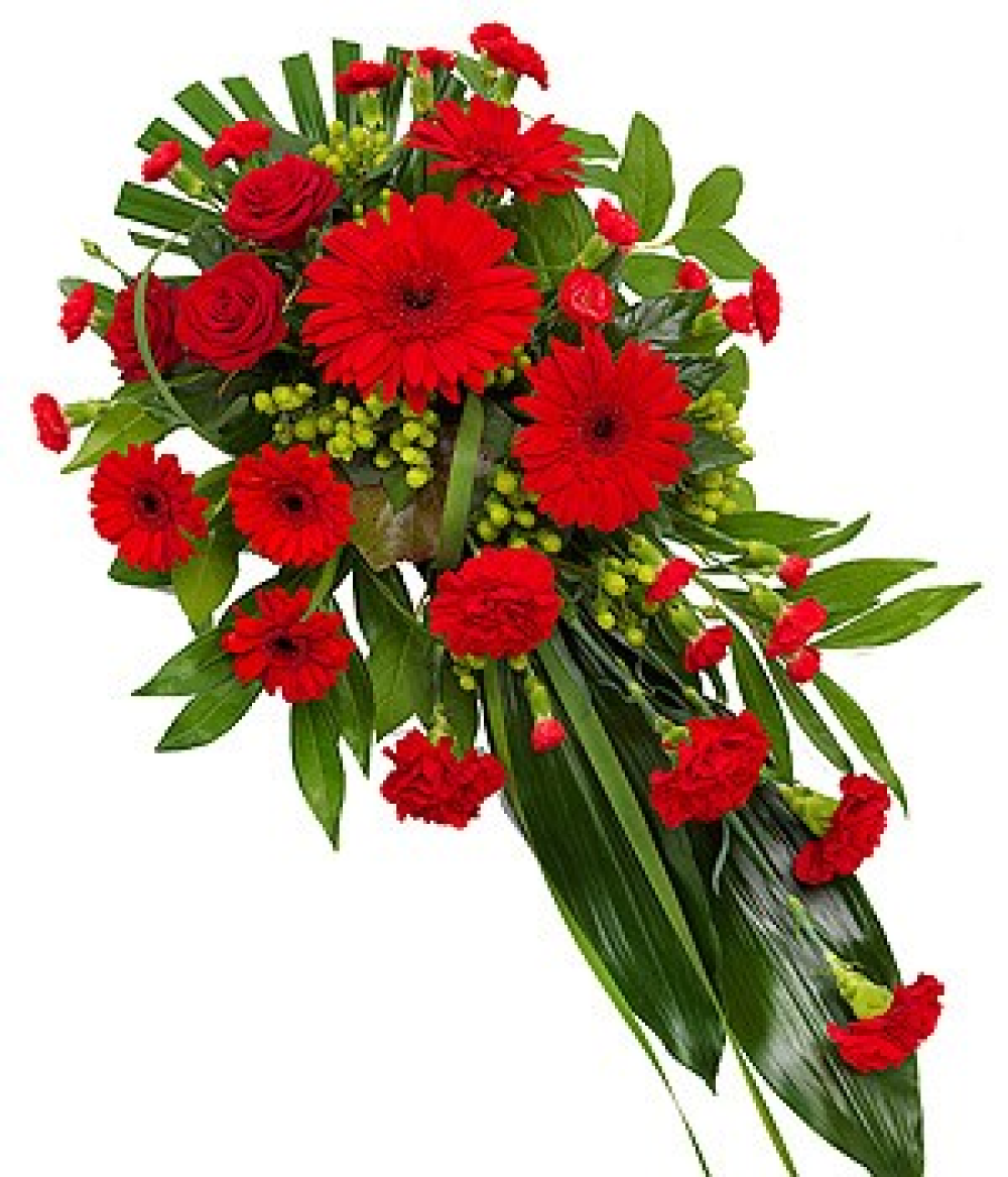 Red Single Ended Spray Product Image