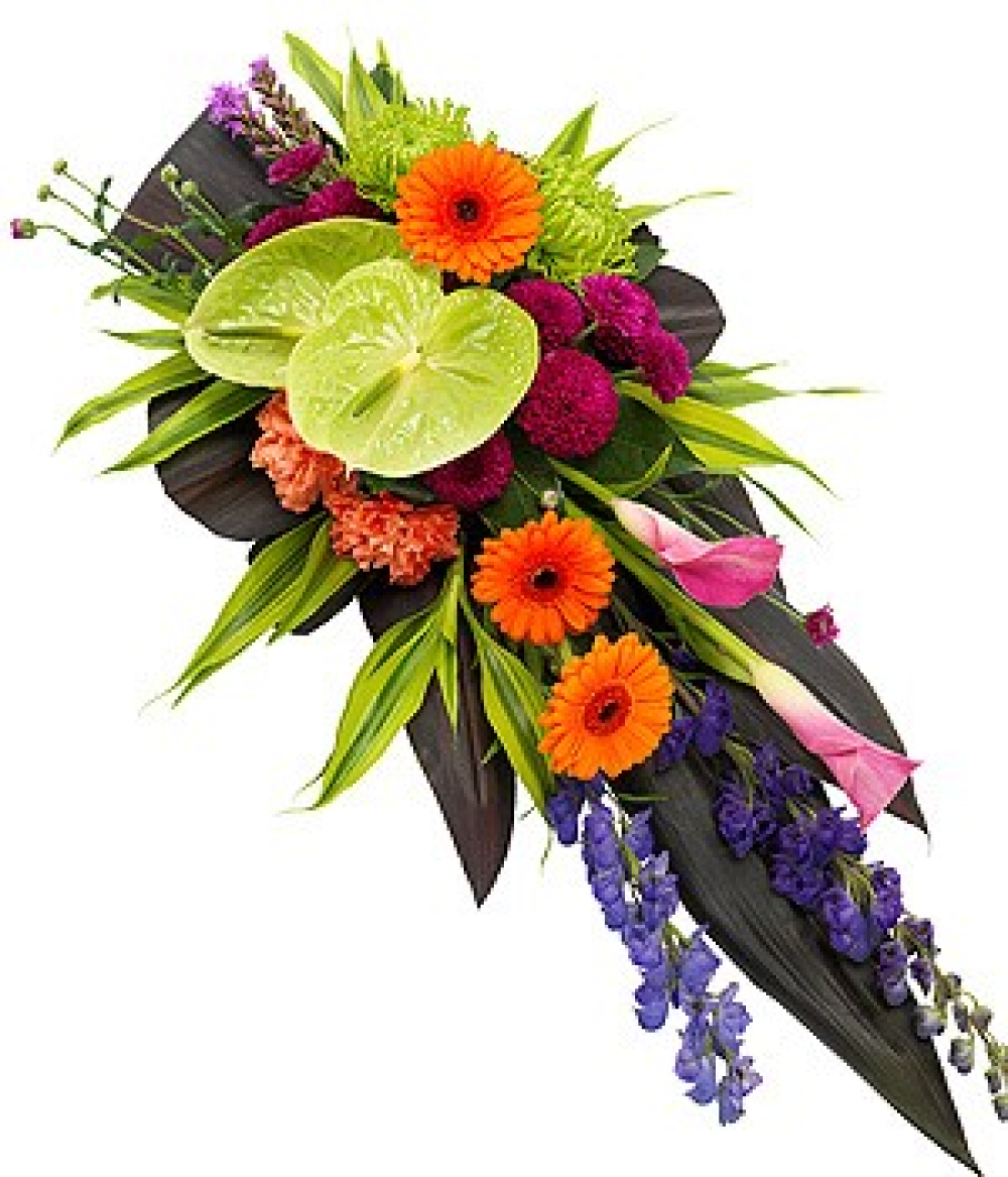 Vibrant Single Ended Spray Product Image