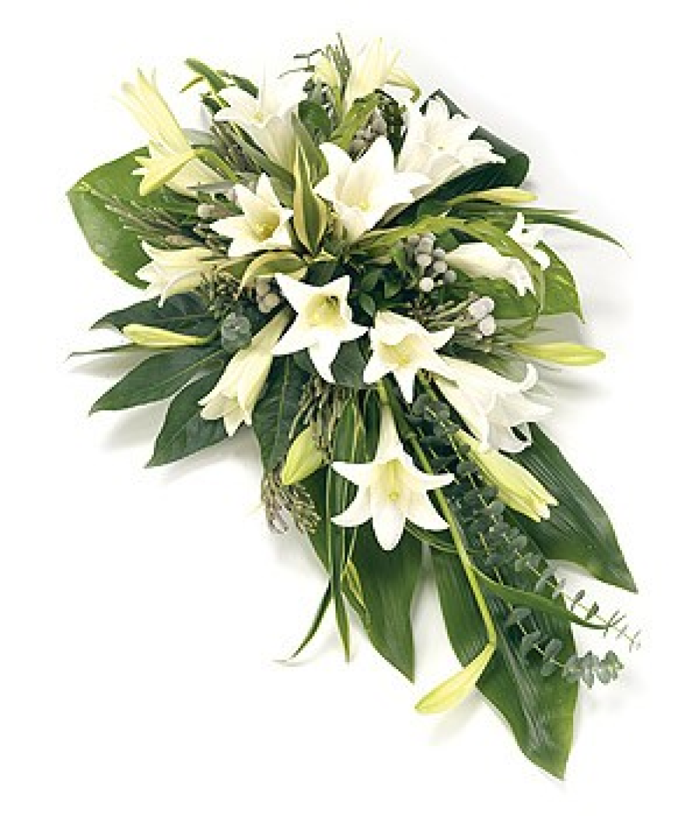Single Ended Lily Spray Product Image