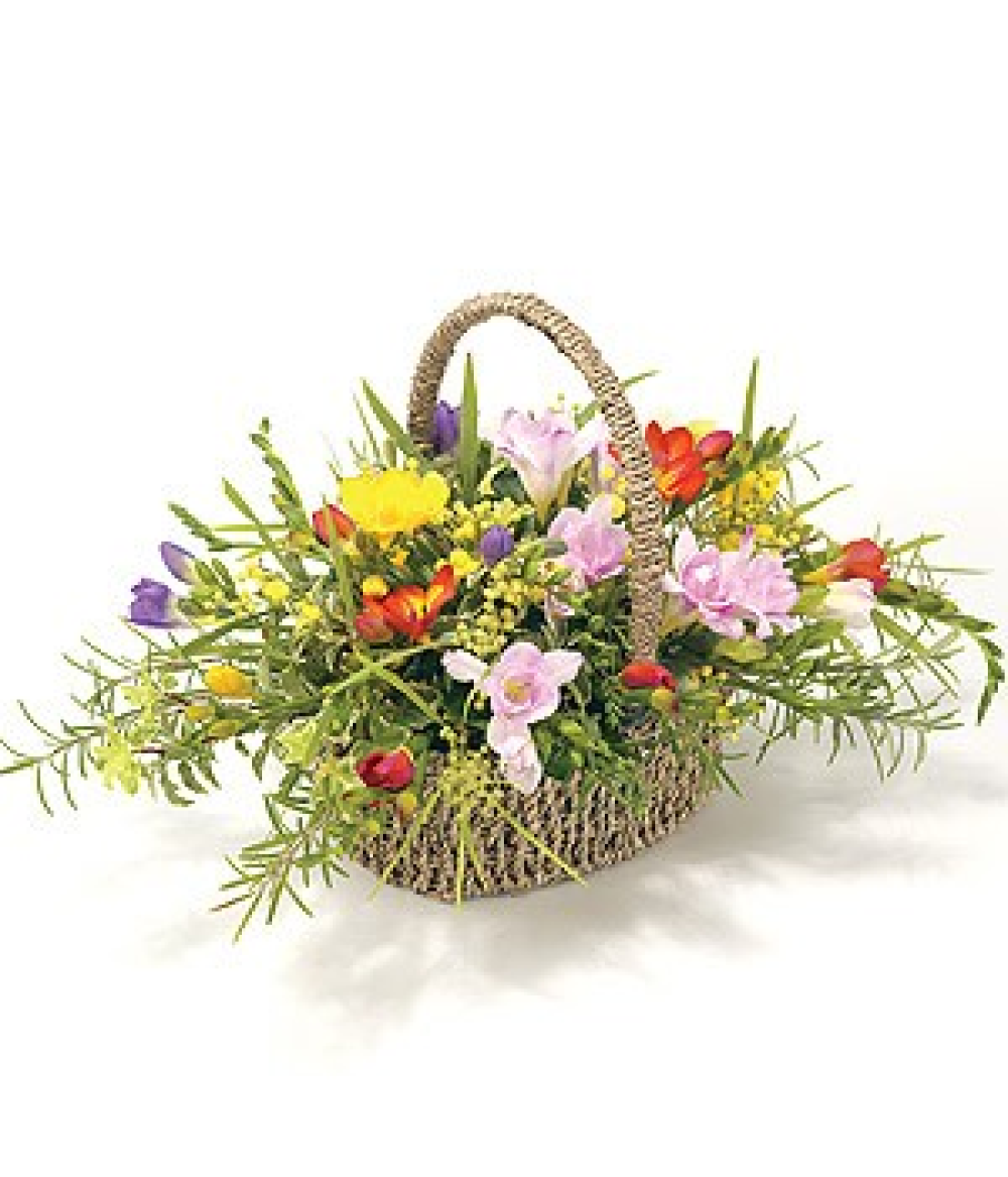 Mixed Freesia Basket Product Image