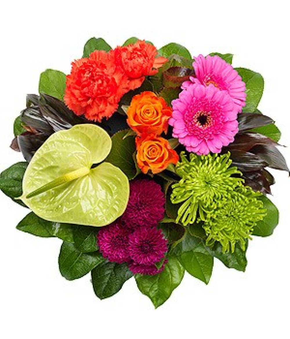 Vibrant Posy Product Image